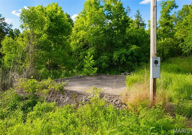 Homes for sale in Black, MO | 21530 Hwy 49, Black, MO 63625 | MLS# MIS26041021