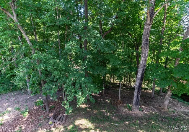 Homes for sale in Festus, MO | 1823 Iron Mountain Dr Dr, Festus, MO 63028 | MLS# MIS26041097