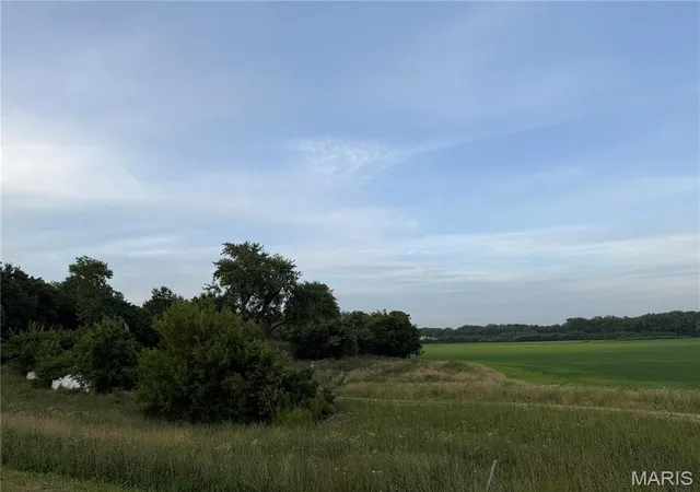 Homes for sale in Carlinville, IL | 15262 Shipman Rd, Carlinville, IL 62626 | MLS# MIS26041109