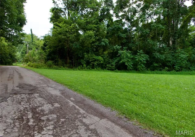 Homes for sale in Chaffee, MO | 0 Parker Ave E, Chaffee, MO 63740 | MLS# MIS26041115