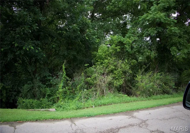Homes for sale in Chaffee, MO | 0 Parker Ave E, Chaffee, MO 63740 | MLS# MIS26041115