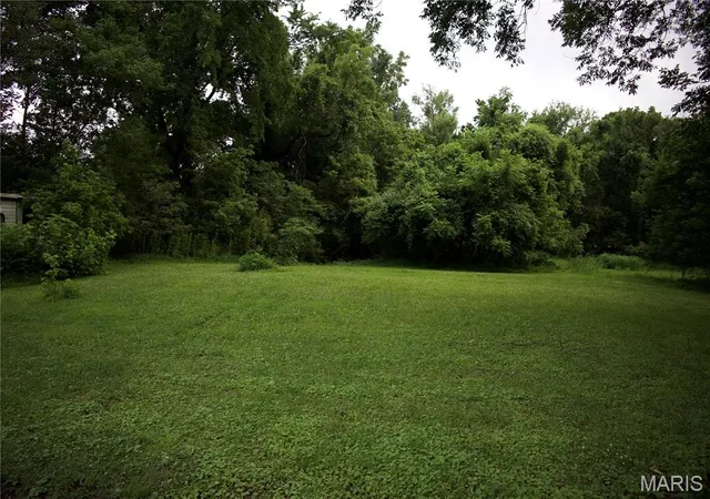 Photo 3 of Land for sale at 482 E Davidson, Chaffee, MO 63740 | MLS# MIS26041121 | Listing updated on 2026-06-29