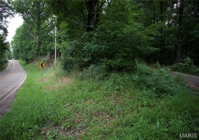 Homes for sale in Chaffee, MO | 0 State Hwy A, Chaffee, MO 63740 | MLS# MIS26041122