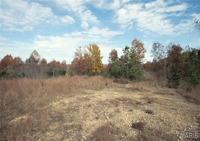 1st image of 0 Hwy 49 #Tract 9, Piedmont, MO 63957 | MLS# MIS26041143