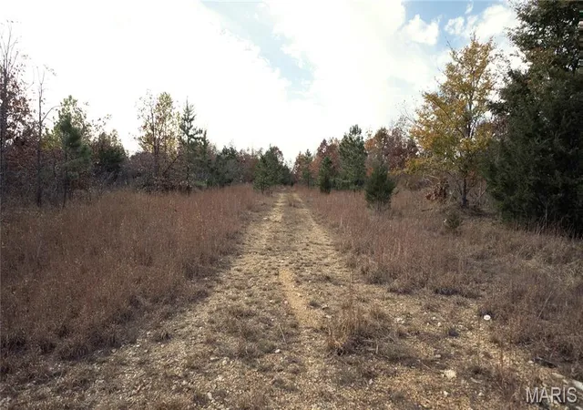 2nd image of 0 Hwy 49 #Tract 5, Piedmont, MO 63957 | MLS# MIS26041145