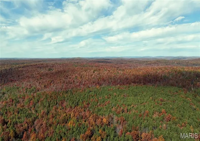 5th image of 0 Hwy 49 #Tract 5, Piedmont, MO 63957 | MLS# MIS26041145