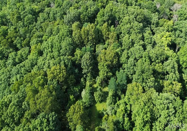 Photo 4 of Land for sale at 0 Monticello Ct, House Springs, MO 63051 | MLS# MIS26041152 | Listing updated on 2026-08-15
