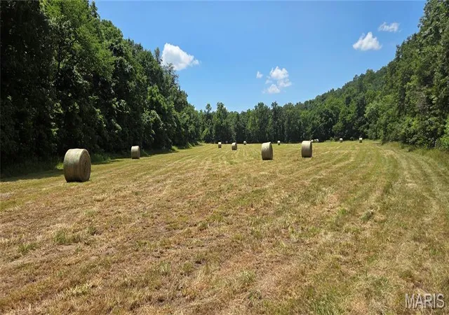 Homes for sale in Steelville, MO | (Undisclosed), Steelville, MO 65565 | MLS# MIS26041207