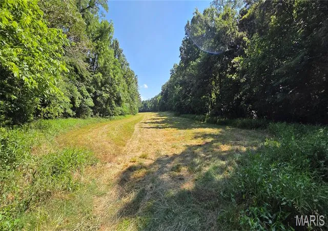 Homes for sale in Steelville, MO | (Undisclosed), Steelville, MO 65565 | MLS# MIS26041207