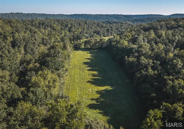 Photo 3 of Land for sale at (Undisclosed), Steelville, MO 65565 | MLS# MIS26041207 | Listing updated on 2026-09-24