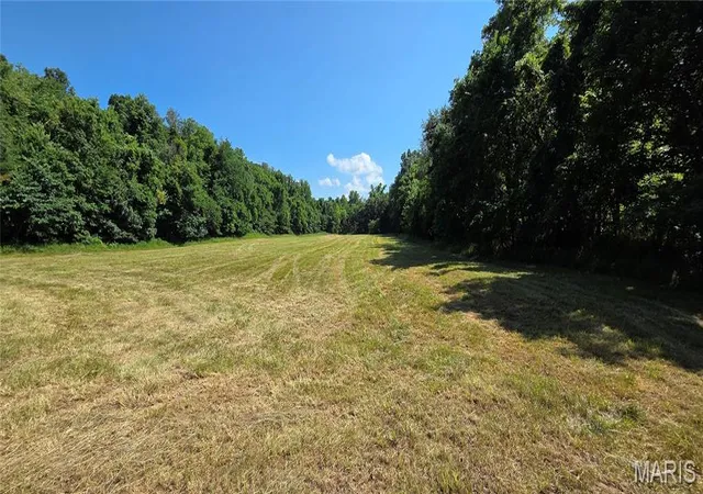 Homes for sale in Steelville, MO | (Undisclosed), Steelville, MO 65565 | MLS# MIS26041207