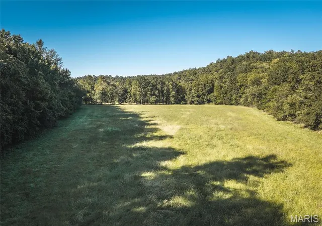 Photo 4 of Land for sale at (Undisclosed), Steelville, MO 65565 | MLS# MIS26041207 | Listing updated on 2026-09-24