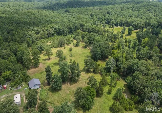 25th image of 52 Carter 315, Ellsinore, MO 63937 | MLS# MIS26041210