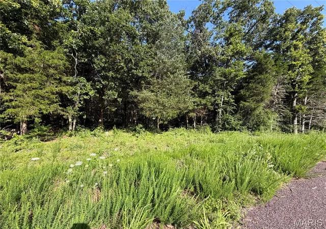 Homes for sale in Sullivan, MO | 580 Cedar Ln, Sullivan, MO 63080 | MLS# MIS26041231