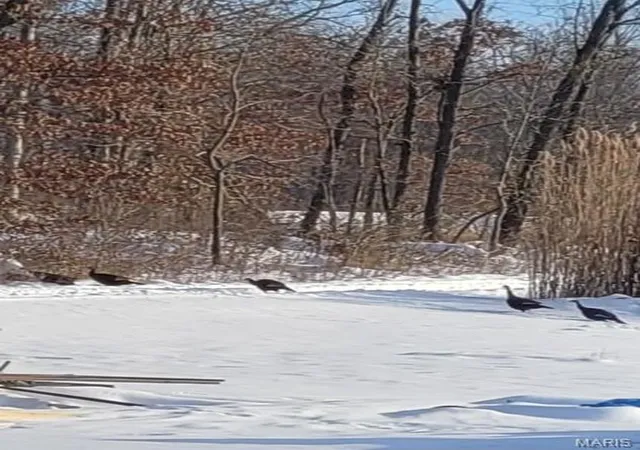 Photo 21 of Land for sale at 9647 E Barat, Mount Vernon, IL 62864 | MLS# MIS26041313 | Listing updated on 2026-06-29