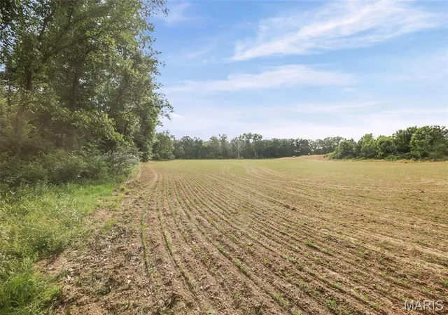 Photo 3 of Land for sale at 9647 E Barat, Mount Vernon, IL 62864 | MLS# MIS26041313 | Listing updated on 2026-06-29
