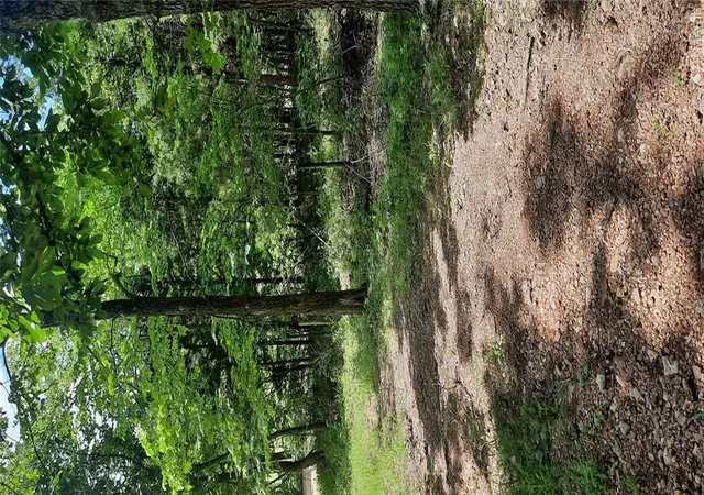 4th image of 99 Arlie Barr Rd, Viburnum, MO 65566 | MLS# MIS26041350