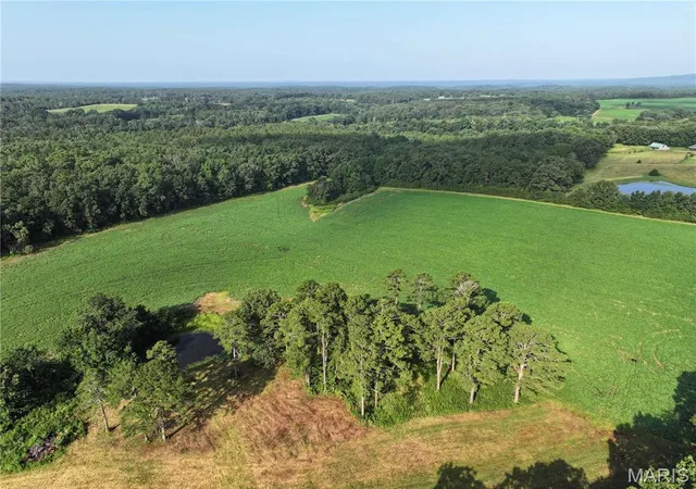 Homes for sale in Marquand, MO | 29259 State Hwy O, Marquand, MO 63655 | MLS# MIS26041355