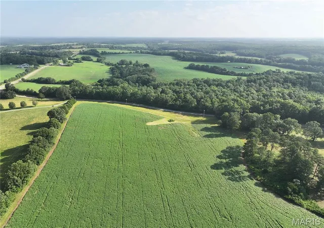 Photo 3 of Land for sale at 29259 State Hwy O, Marquand, MO 63655 | MLS# MIS26041355 | Listing updated on 2026-06-29
