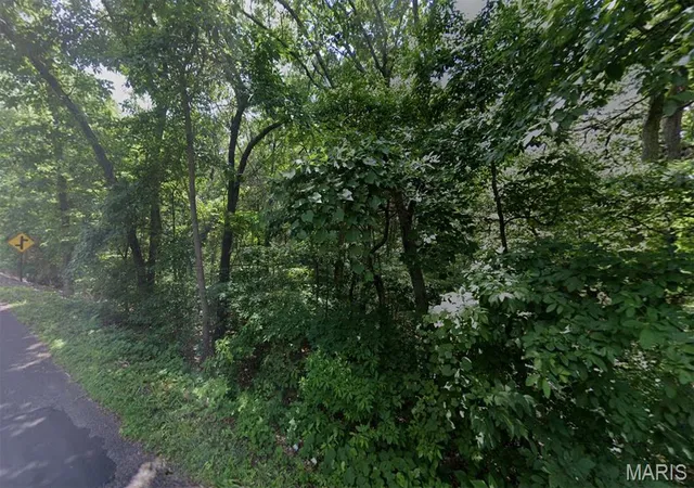 Homes for sale in Hillsboro, MO | 7725 Tower Rd, Hillsboro, MO 63050 | MLS# MIS26041481