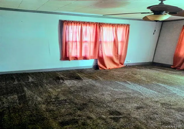 5th image of 205 Morgan, Doniphan, MO 63935 | MLS# MIS26041486