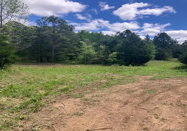 Photo 3 of Land for sale at 248 Madison Cr 410, Fredericktown, MO 63645 | MLS# MIS26041515 | Listing updated on 2026-06-30