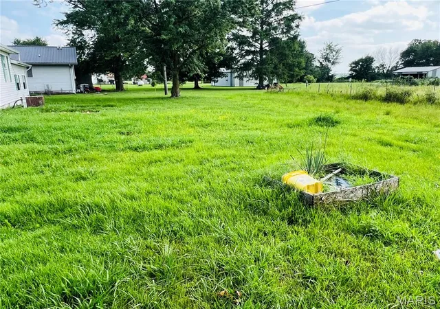 Homes for sale in Dudley, MO | 15053 State Hwy 51, Dudley, MO 63936 | MLS# MIS26041541