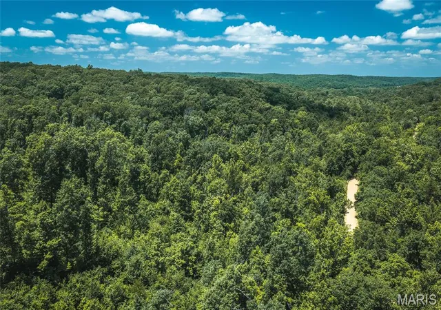 Homes for sale in Steelville, MO | 000 Czar Tower Road, Steelville, MO 65565 | MLS# MIS26041594