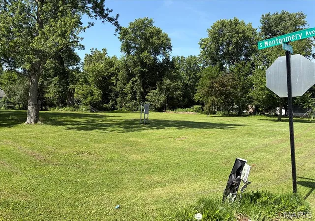 Homes for sale in Litchfield, IL | 1005 S Montgomery Ave, Litchfield, IL 62056 | MLS# MIS26041599