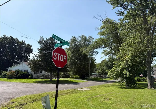 Homes for sale in Litchfield, IL | 1005 S Montgomery Ave, Litchfield, IL 62056 | MLS# MIS26041599
