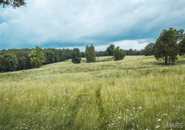 Homes for sale in Dixon, MO | 000 County Road 628, Dixon, MO 65459 | MLS# MIS26041709