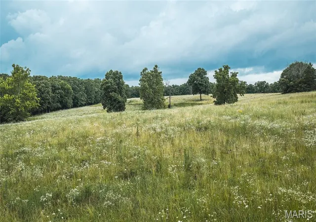 Homes for sale in Dixon, MO | 000 County Road 628, Dixon, MO 65459 | MLS# MIS26041709