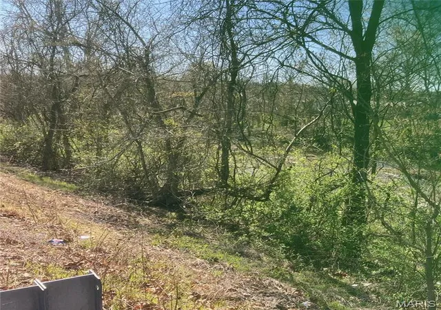 Photo 2 of Land for sale at 55 Hwy E Veterans Hwy, De Soto, MO 63020 | MLS# MIS26041724 | Listing updated on 2026-06-30