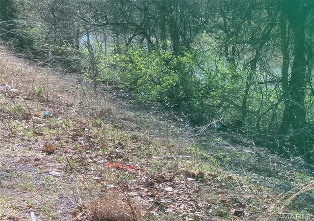 Photo 3 of Land for sale at 55 Hwy E Veterans Hwy, De Soto, MO 63020 | MLS# MIS26041724 | Listing updated on 2026-06-30