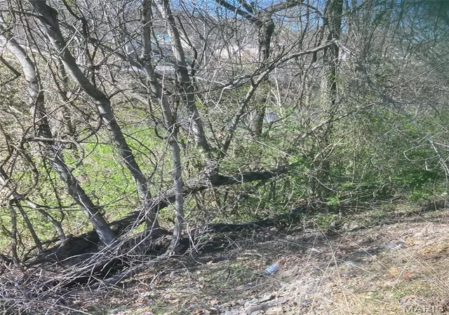 Photo 3 of Land for sale at 55 Hwy E-Veterans Hwy, De Soto, MO 63020 | MLS# MIS26041724 | Listing updated on 2026-06-30