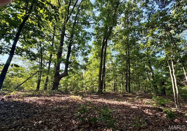 26th image of 00 Hwy Ff, Ironton, MO 63650 | MLS# MIS26041794