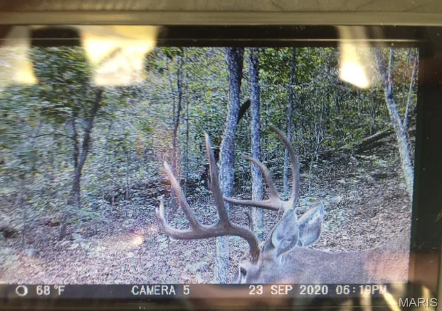 3rd image of 00 Hwy Ff, Ironton, MO 63650 | MLS# MIS26041794