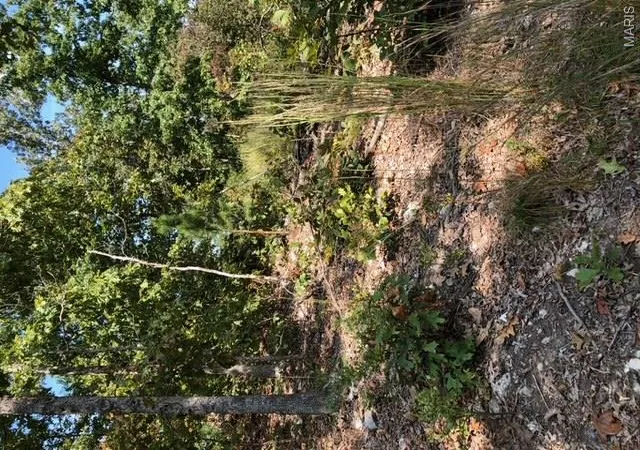 5th image of 00 Hwy Ff, Ironton, MO 63650 | MLS# MIS26041794