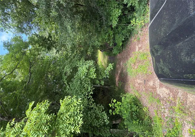 16th image of 7811 Mo N 51, Zalma, MO 63730 | MLS# MIS26041905