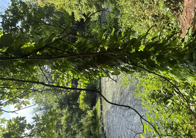 Photo 3 of Land for sale at 7811 Mo N 51, Zalma, MO 63730 | MLS# MIS26041905 | Listing updated on 2026-07-06
