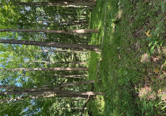 Photo 3 of Land for sale at 7811 Mo-N 51, Zalma, MO 63730 | MLS# MIS26041905 | Listing updated on 2026-07-06