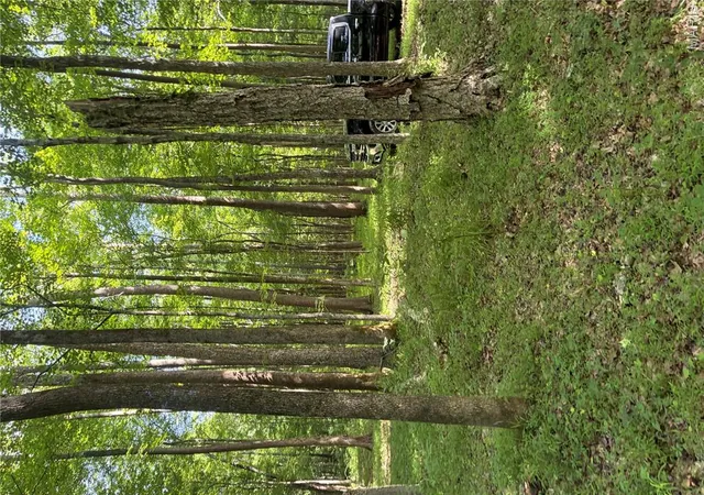 Photo 4 of Land for sale at 7811 Mo-N 51, Zalma, MO 63730 | MLS# MIS26041905 | Listing updated on 2026-07-06