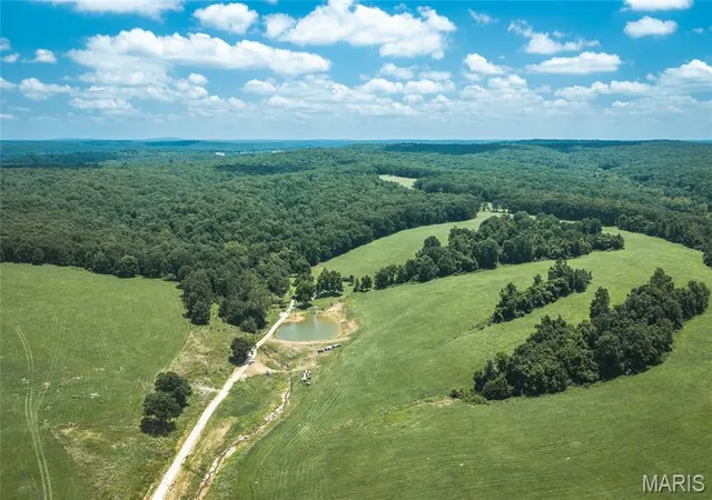 Homes for sale in Steelville, MO | 171 Czar Tower Rd, Steelville, MO 65565 | MLS# MIS26041915