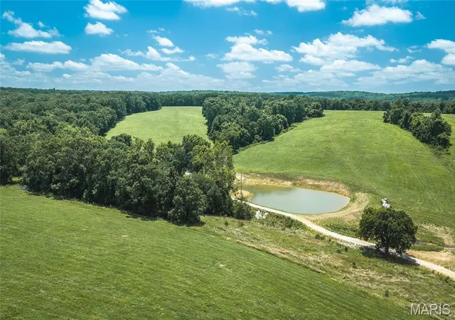 Homes for sale in Steelville, MO | 171 Czar Tower Rd, Steelville, MO 65565 | MLS# MIS26041915