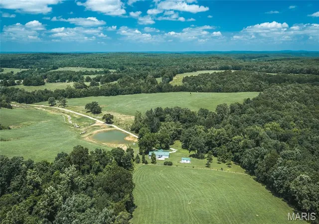 Homes for sale in Steelville, MO | 171 Czar Tower Rd, Steelville, MO 65565 | MLS# MIS26041915