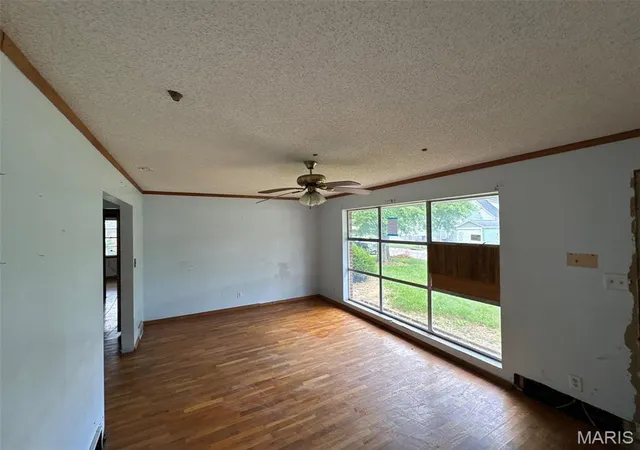 Homes for sale in Cape Girardeau, MO | 214 S Park Ave, Cape Girardeau, MO 63703 | MLS# MIS26041931