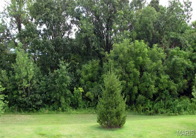 17th image of 114 Fallon Villa Ct, O'fallon, MO 63368 | MLS# MIS26042069