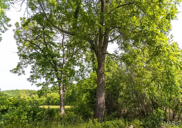 Photo 4 of Sale Pending at 2264 Wurtz Rd, Hermann, MO 65041 | MLS# MIS26042213 | Listing updated on 2026-10-13