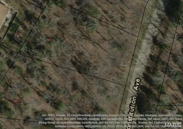 Photo 2 of Land for sale at 101 Costitution (plat 6 Lot 101) Ave, De Soto, MO 63020 | MLS# MIS26042477 | Listing updated on 2026-07-03