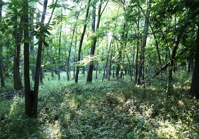 25th image of 00 County Farm Road, Kell, IL 62853 | MLS# MIS26042556